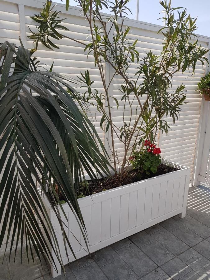 Citrus Boutique Hotel Baky Esterno foto
